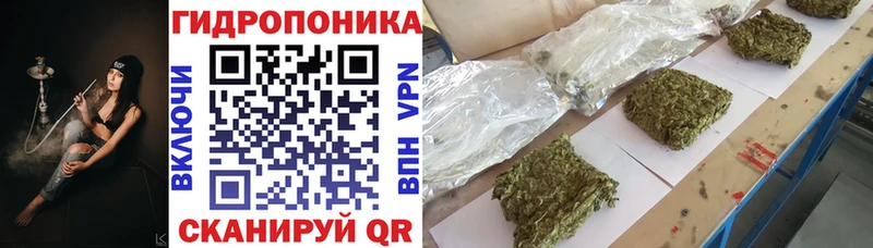 Бошки марихуана VHQ  Купить  Котельники 